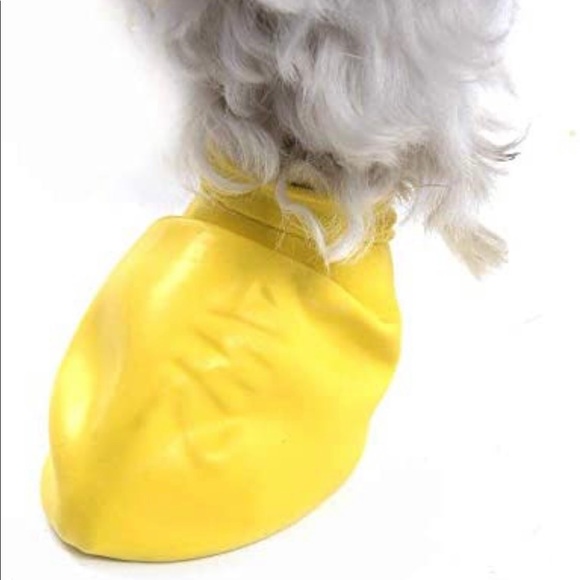 PAWS XS Yellow 1 1/2” - Picture 3 of 9